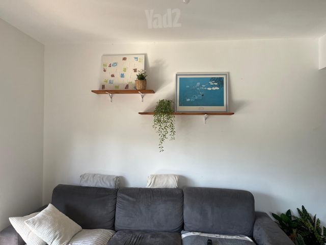 לוחמי סיני 17