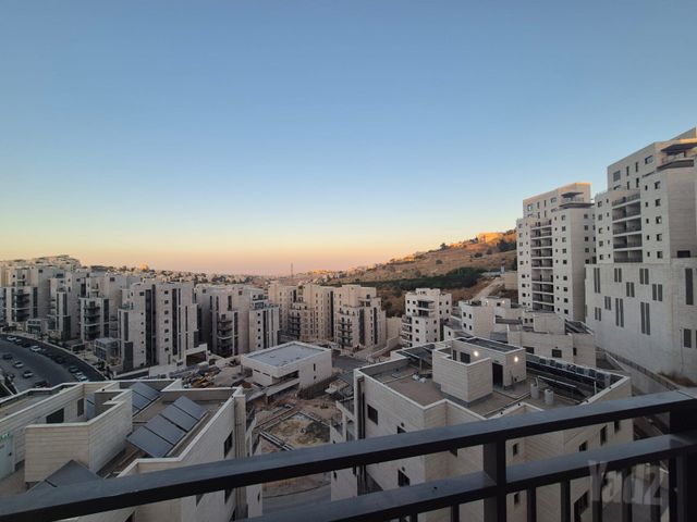 פרופסור יעקב נאמן 1