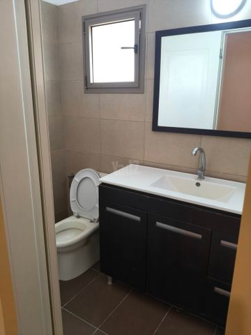 להקת כוורת 19