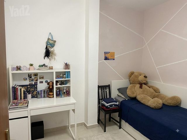 הרב הרצוג 1