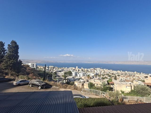 שקד 58