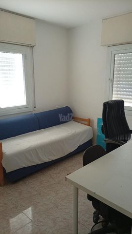 Petah Tikva, Israel 6