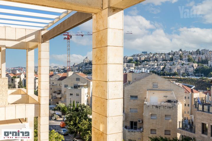 משה קול 
