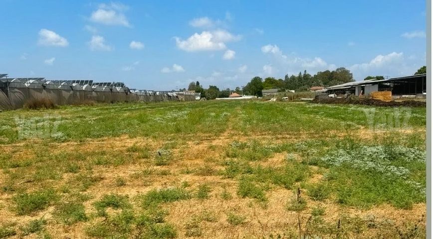 מגרשים