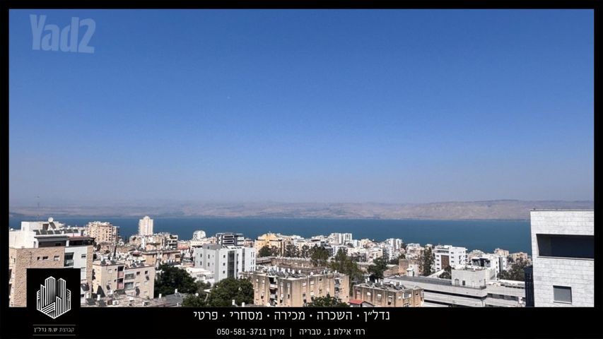 שלמה המלך 