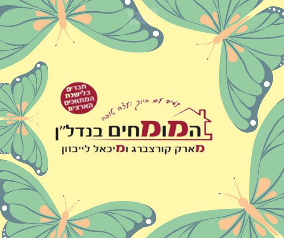 חיים סירני 