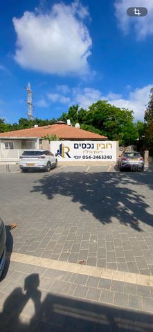 נווה דקלים