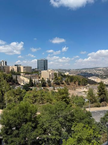 דוד הראובני 25