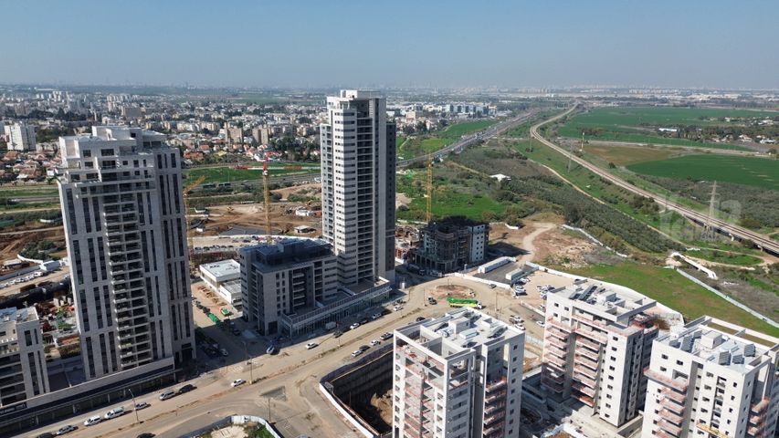 יער ביריה 