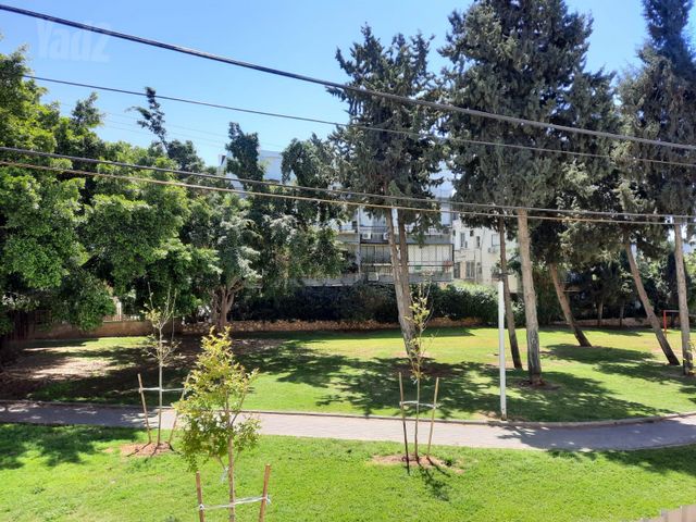 אתרוג 8
