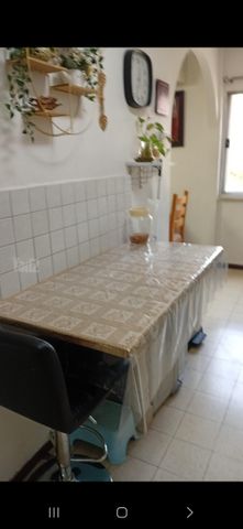 בר יוחאי 19