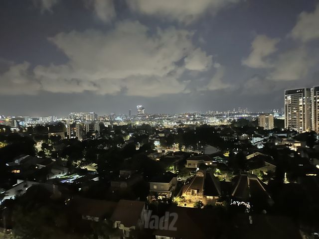 ז'בוטינסקי 3