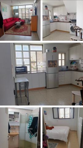 יוסף שפרינצק 4