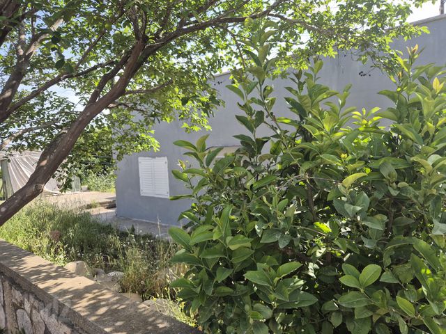 בית פרטי/ קוטג', חיננית