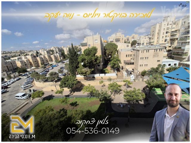 ויקטור ויוליוס 