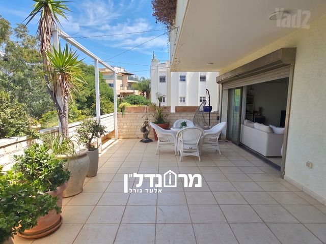 אשר ברש 