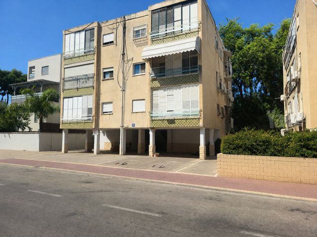 שמעון 11