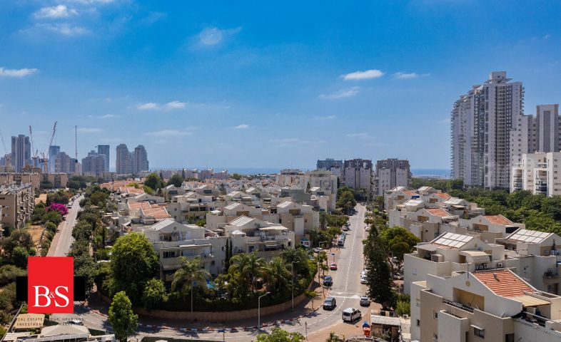 חרצית 31