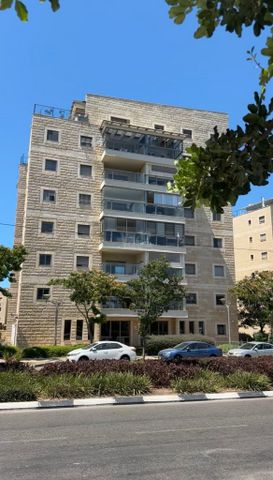 עוזי חיטמן 