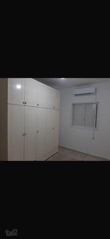 דוד וולפסון 34