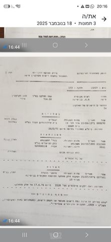 הדקל 1
