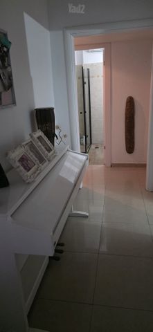 אילת 31