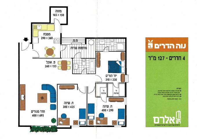 הקוקיה 36