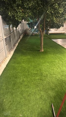 Rehovot, Israel 3