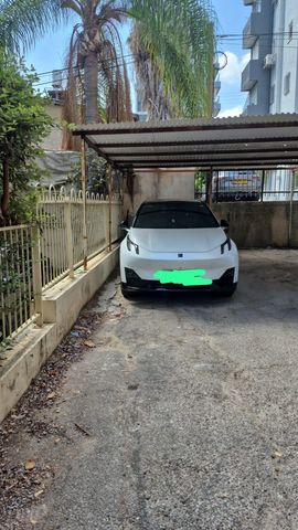 דוד וולפסון 37