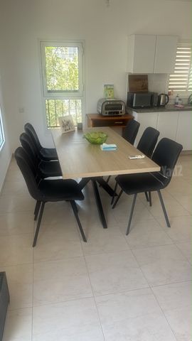 המלכים 8
