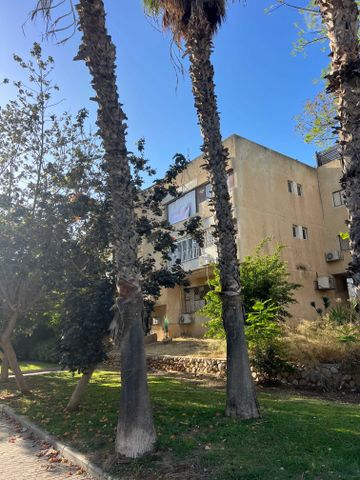 הפרג 15