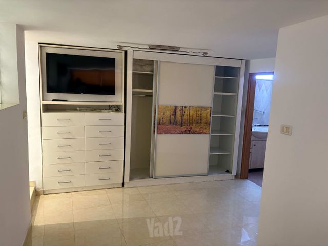 עליזה בגין 4
