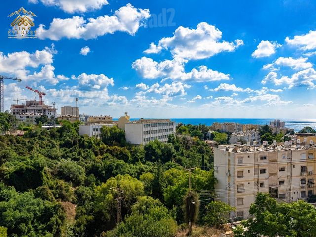 דרייפוס 