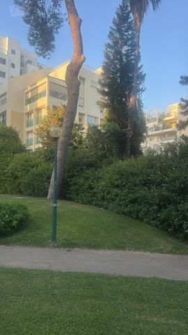 מרכז