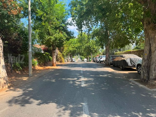 השיקמים 