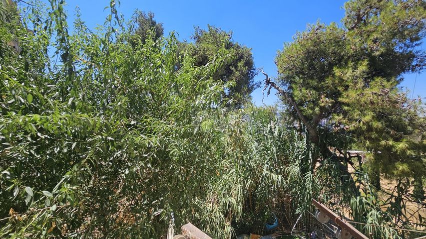דירה למכירה בירושלים (תיווך) — 5