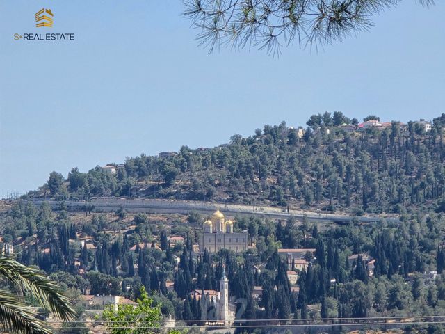 מגרשים