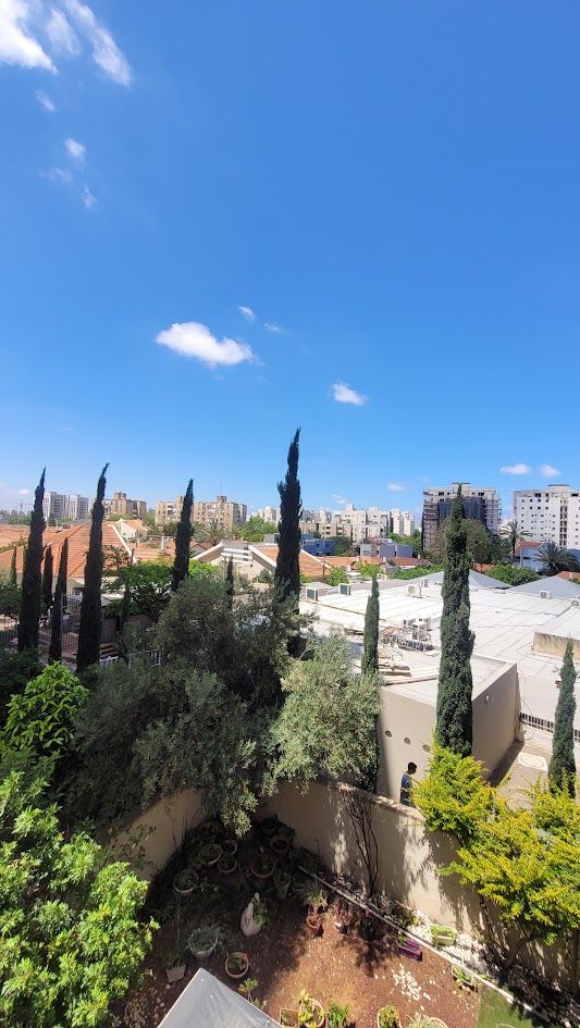 דירה