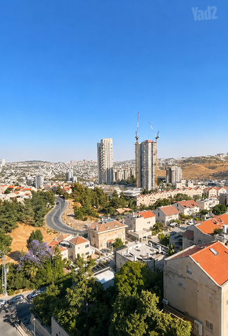 סלמן מוצפי 