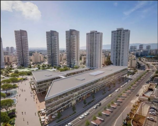 שושנה דמארי 1