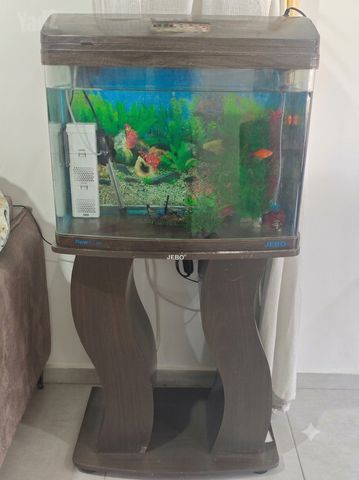 תמונת מודעה - חיות מחמד