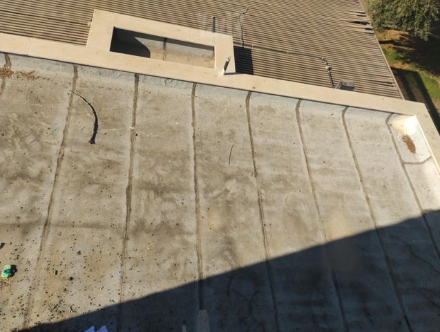 דוד המלך 32