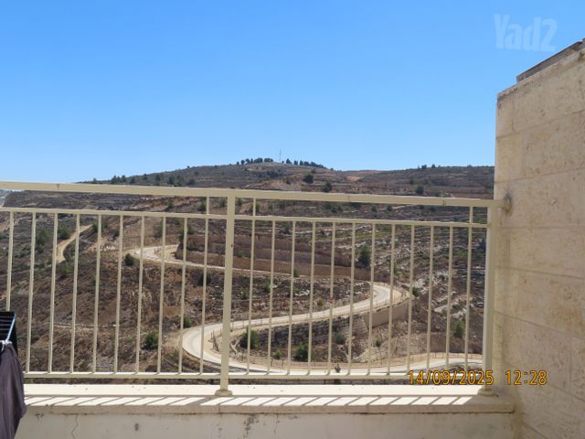 הכפיר 13