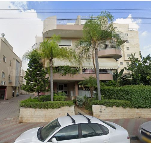 דוד אלעזר 14