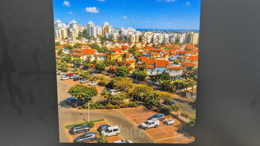 מעגל השלום 13