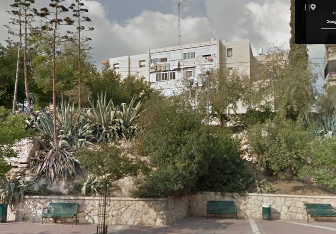 הנורית 13