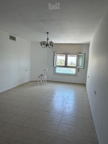 הנופך 241