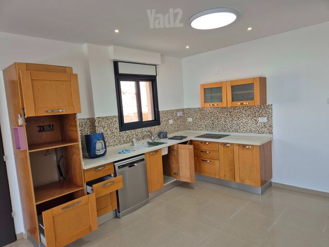 האלון 219
