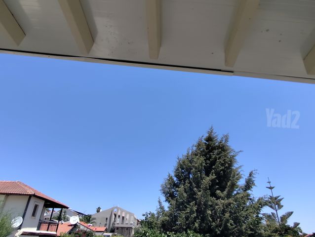 הגפן 4