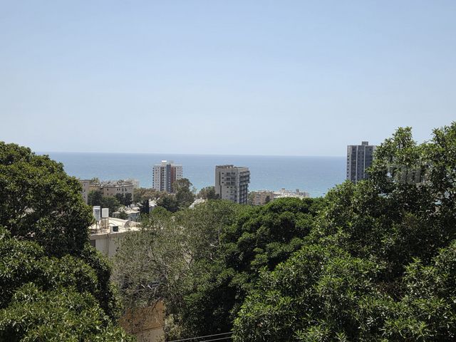 דרייפוס 12
